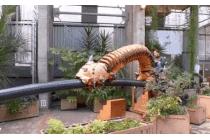 애벌레 놀이기구