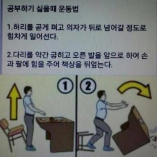 공부하기 싫을때