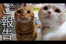 【ご報告】皆様に大事なお知らせがあります