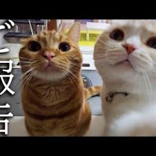 【ご報告】皆様に大事なお知らせがあります