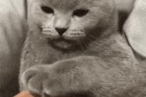 주무르려는데 반항할 때