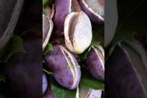 Never seen a fruit like this in my life!! 🇨🇳 Only in Kunming, China #chinesefood