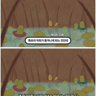 암내 없는 대신에...?