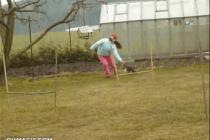 세상에 냥이가...