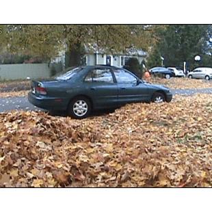 Leaves-surprise-ball-prank