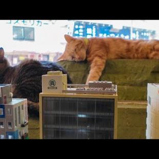 【ジオラマ食堂】猫たちみんな窓辺で寝ています