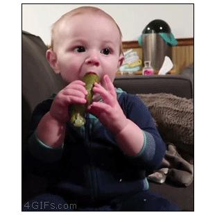 Baby-tries-pickle