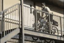 자전거 계단 내려가기