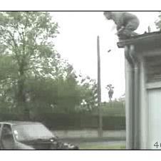 자동차로 점프하기