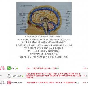 인간 CPU의 냉각방식