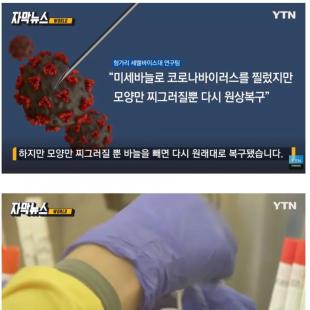 코로나 바이러스 내구도 테스트