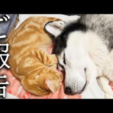 【ご報告】病院での血液検査の結果について...