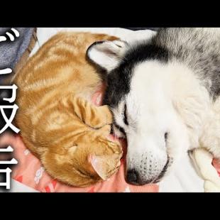 【ご報告】病院での血液検査の結果について...