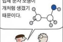 술마시면 개가 되는 이유