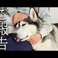 【ご報告】視聴者の皆様に大事なお話があります...