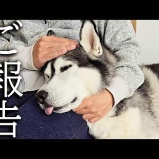 【ご報告】視聴者の皆様に大事なお話があります...