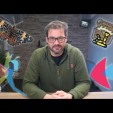 These Python Libraries Deserve More Attention