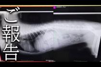 今まで応援してくださった皆様へ大切なご報告...