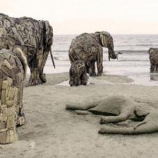 코끼리의 죽음