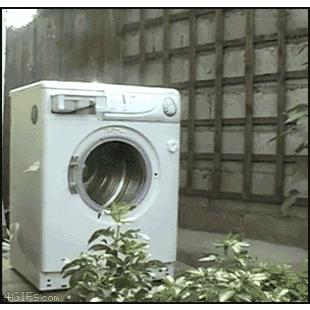 Washing_machine_brick