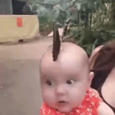 아기와 나비