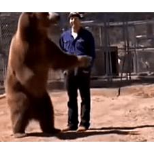 곰은 역시 무서워