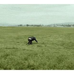 태풍 위력 체험