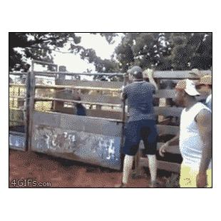 Human rodeo