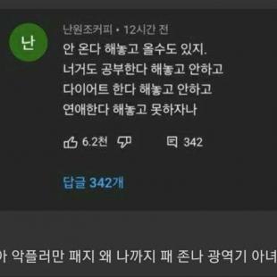 쯔양 복귀 영상에 달린 광역기.jpg