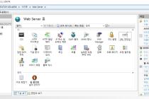 아파치, Nginx 대신 IIS가 편해서 IIS만 사용하게 되네요.