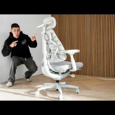 The VIRAL Desk Setup Chair - LiberNovo Omni Chair