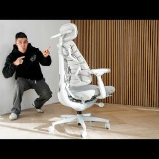 The VIRAL Desk Setup Chair - LiberNovo Omni Chair