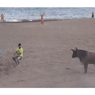 너무 위험한 장난하는것 아닐까?