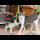 Cute young mother cat has more fun playing than her kitten