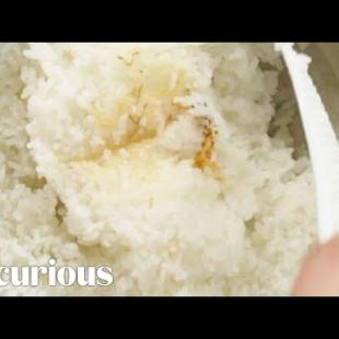 Making Traditional Japanese Rice