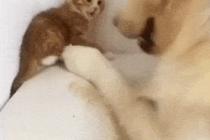 세상도 저러면 좋을텐데