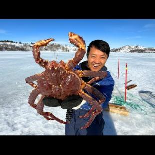 ALL YOU CAN EAT ARCTIC KING CRAB Safari in Norway! Catch, Cook and FEAST on the Fjord