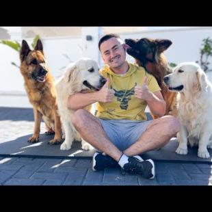 What does a WORKOUT look like with 4 dogs at home