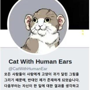 사람귀 달린 고양이