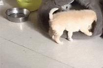 여긴 내 자리야