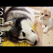 セカンドオピニオンについて...