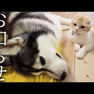 セカンドオピニオンについて...