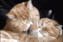 난 너를 사랑해