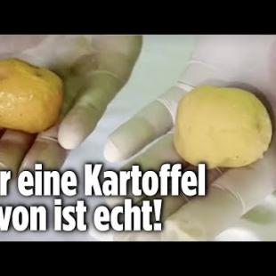[독일 Bild紙] Drogen-Mafia entwickelt die „Koks-Kartoffel“ I Kolumbien