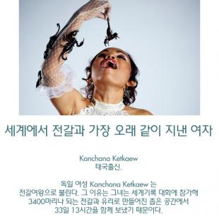 세계에서 전갈과 가장 오래 같이 지낸 여자