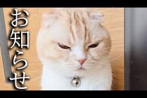 色々あり転職することになりました...