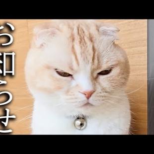 色々あり転職することになりました...