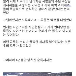 노루가 번개맞고 집단 몰살당하면 생기는 일