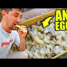 Uncovering Thailand’s EXOTIC FOOD of the Karen Tribe 🇹🇭 I Can’t Believe They Eat This!!