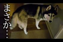 深夜にハプニングが発生しました...